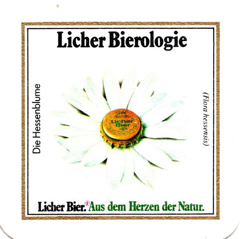 lich gi-he licher biero blu eckig 4b (quad185-die hessenblume-m korken)